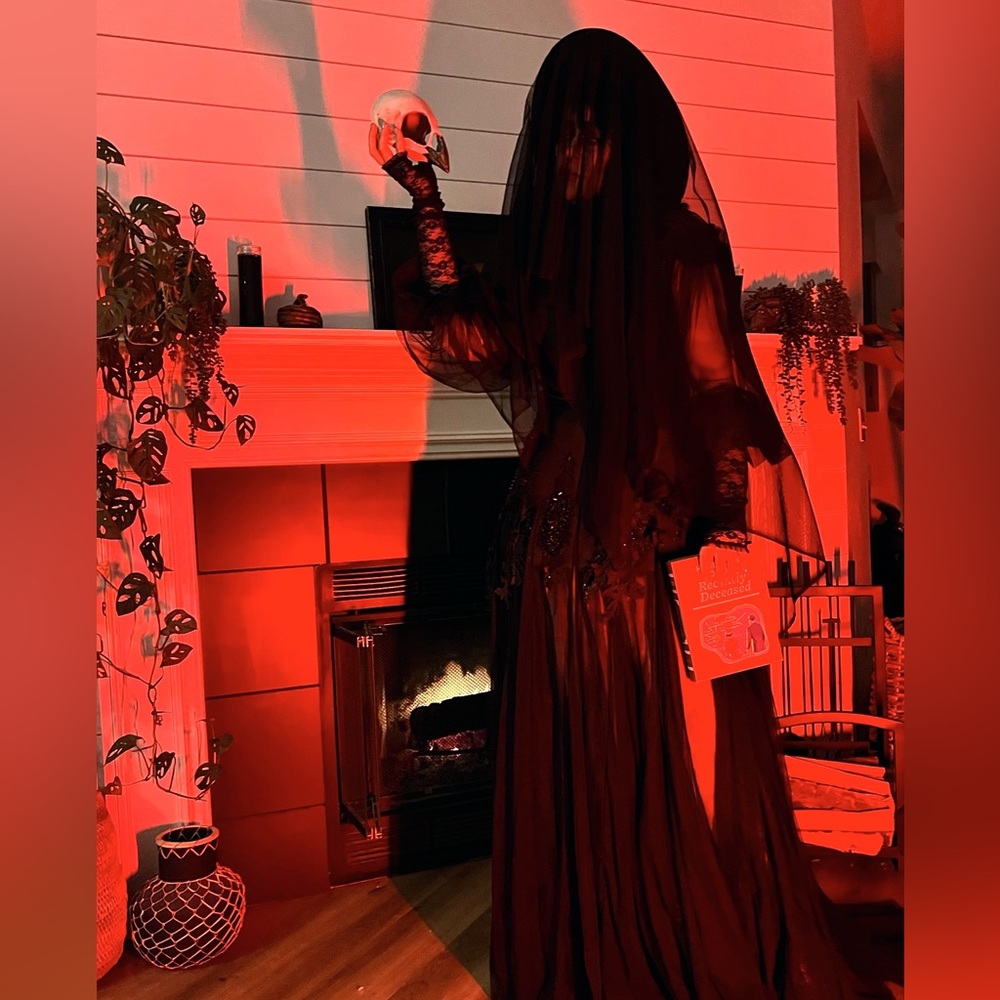 Beetlejuice Lydia Deetz Black Halloween Formal Costume w/ Sandworm “Dog” size 16